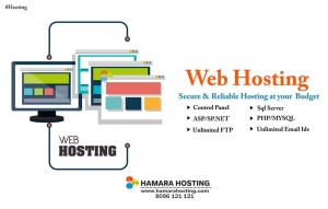 Unlimited web hosting services in hyderabad